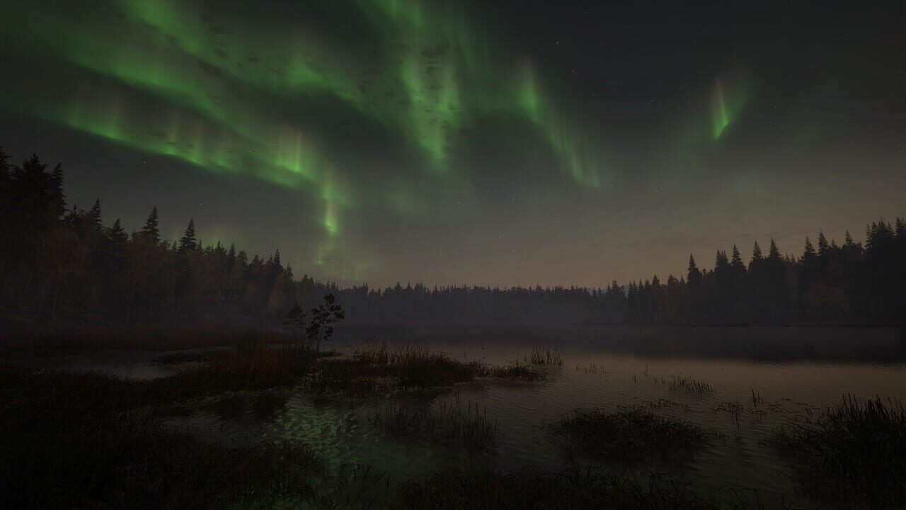 TheHunter: Call of the Wild – Revontuli Coast