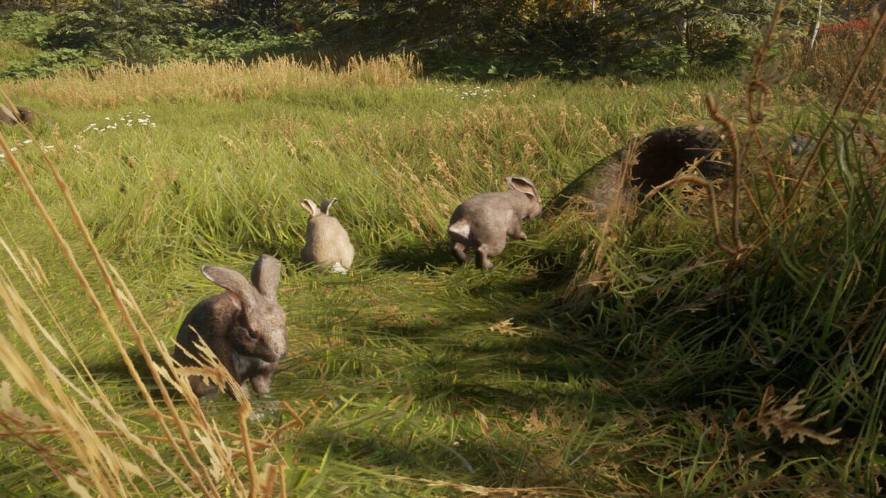 TheHunter: Call of the Wild – Free Species: European Rabbit