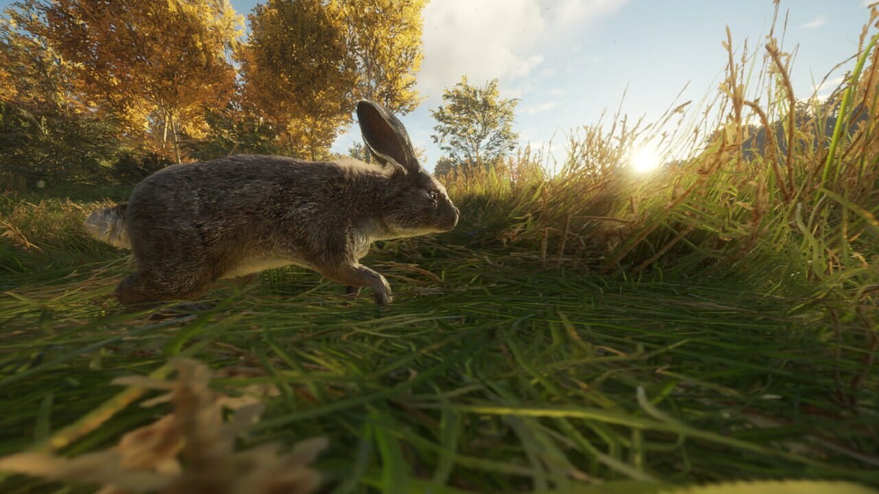 TheHunter: Call of the Wild – Free Species: European Rabbit
