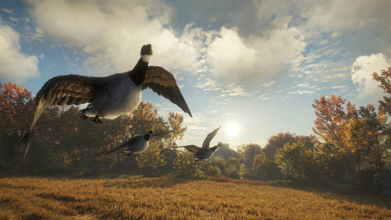 TheHunter: Call of the Wild – Wild Goose Chase Gear