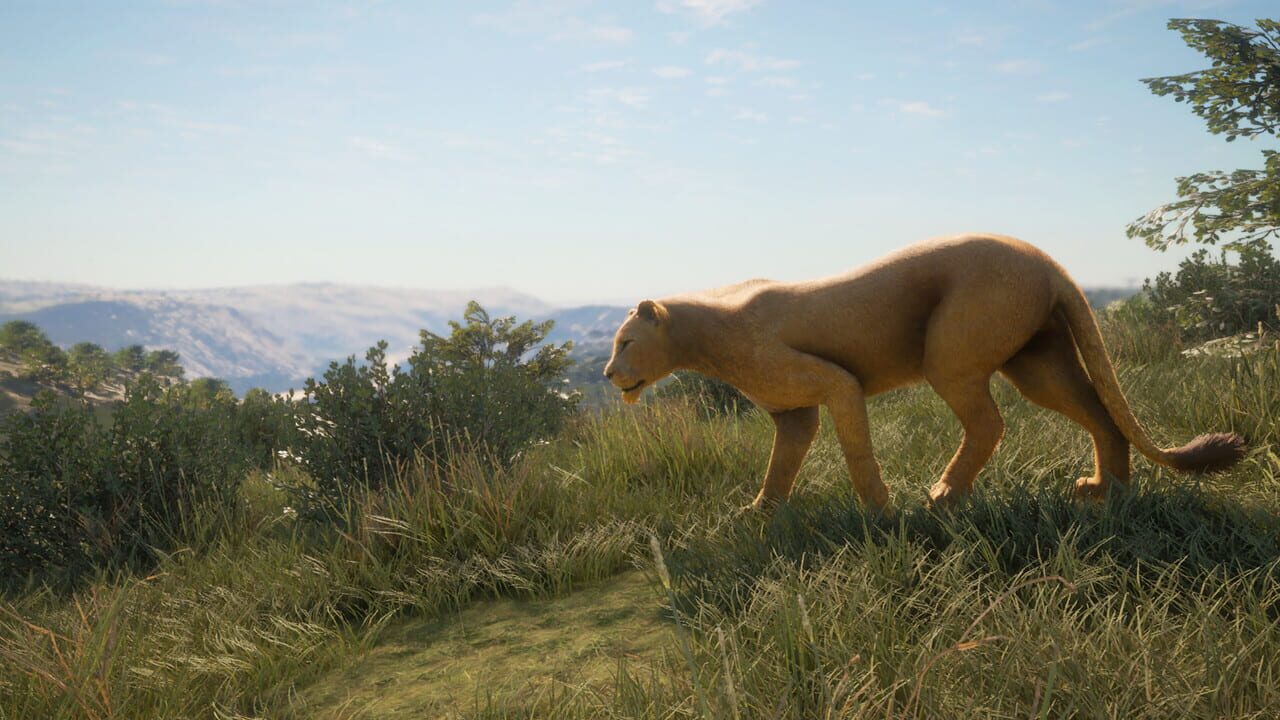 TheHunter: Call of the Wild – New Species 2019