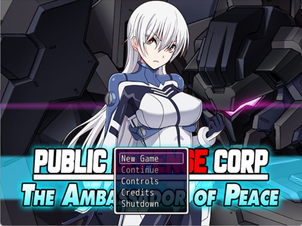 Public Defense Corp: The Ambassador of Peace