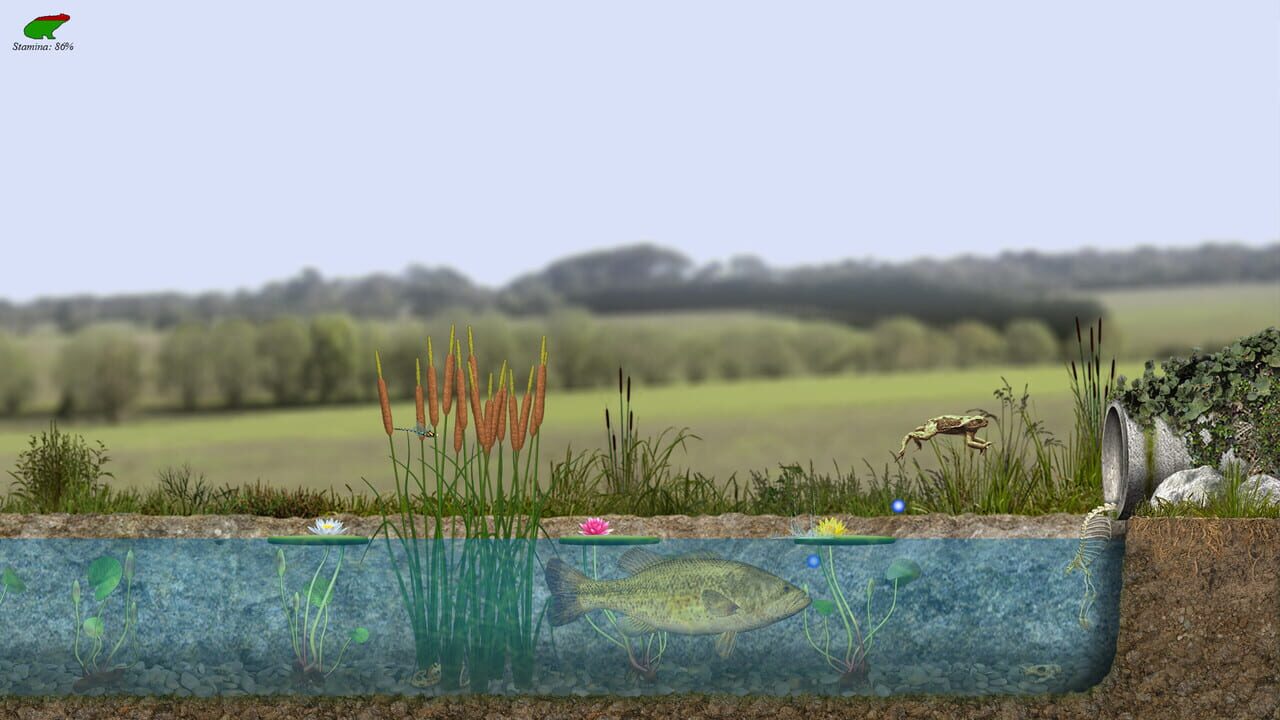 A toad well travelled