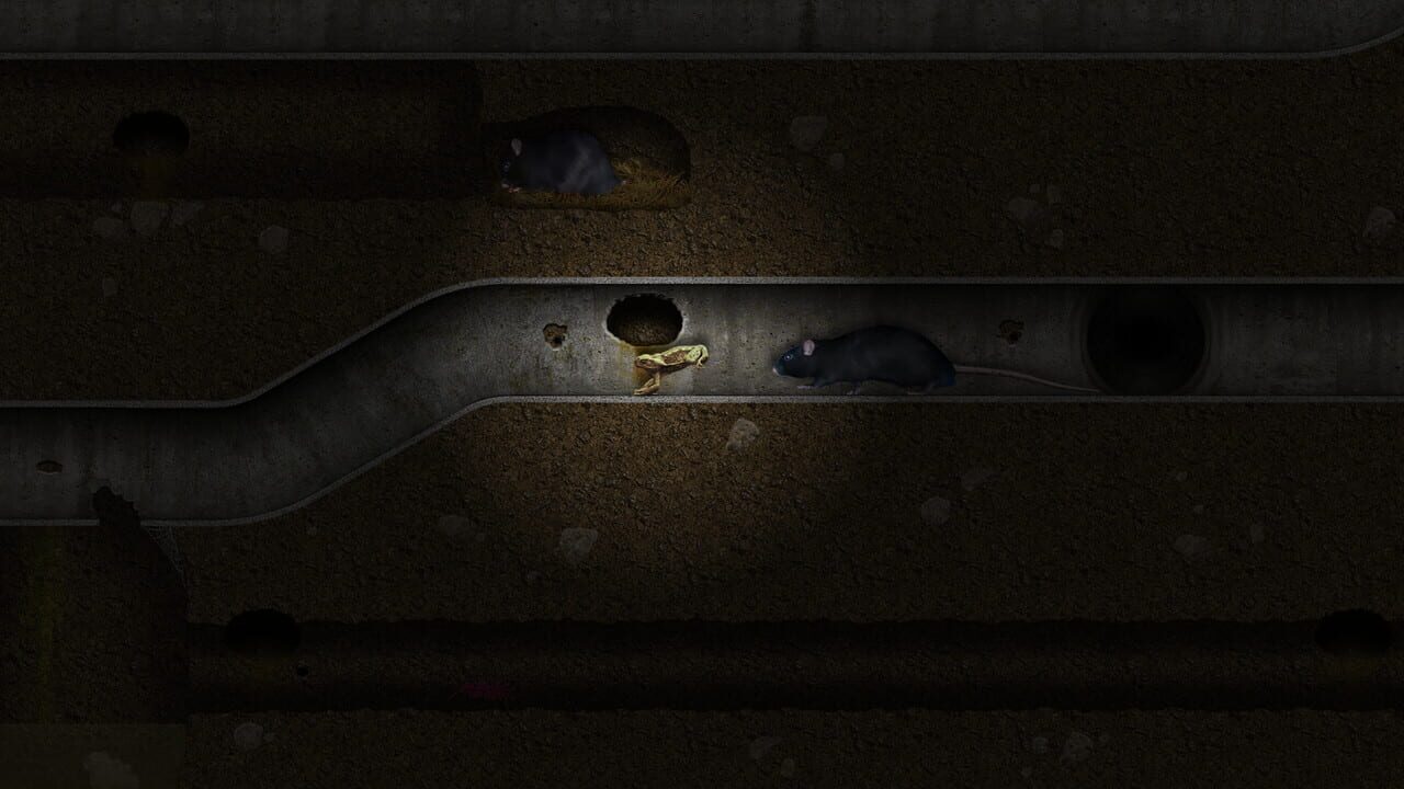 A toad well travelled