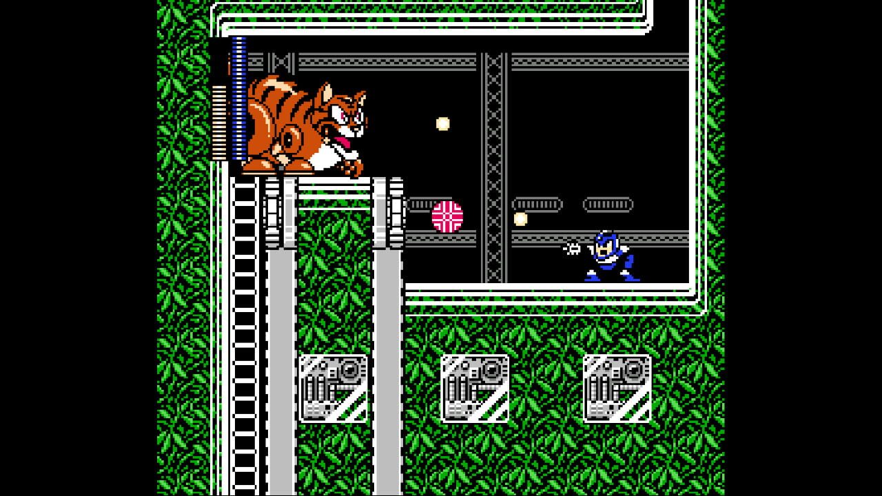 Mega Man: Day in the Limelight 2