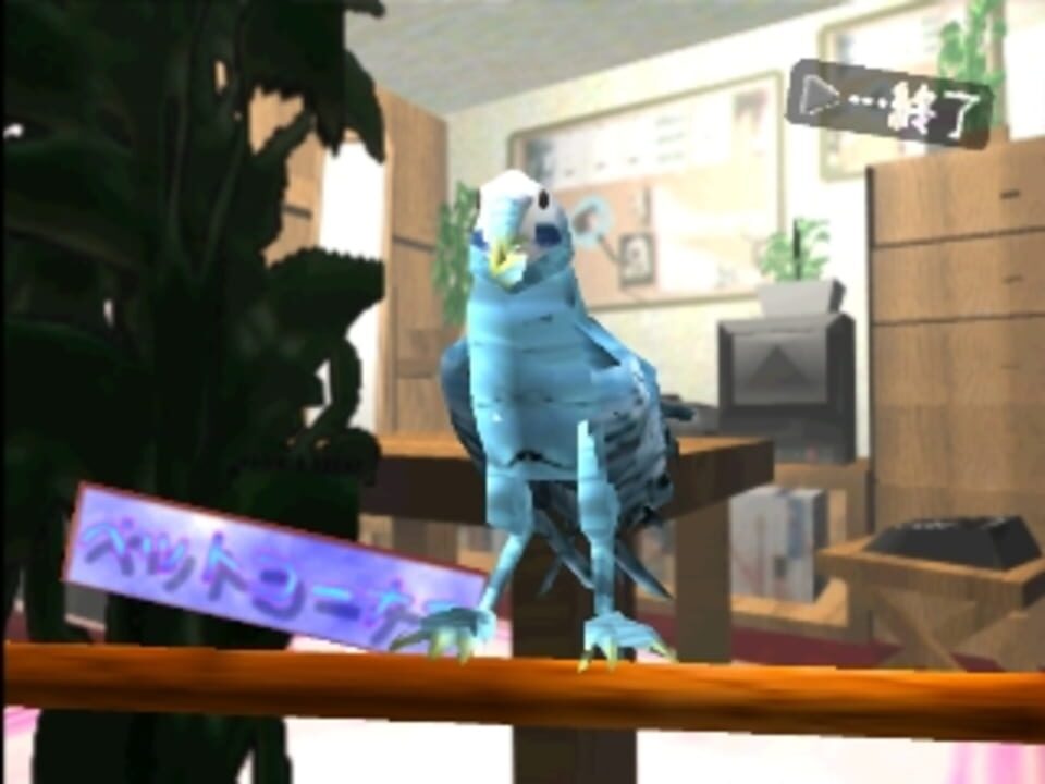 Idol Promotion: Yumie Suzuki