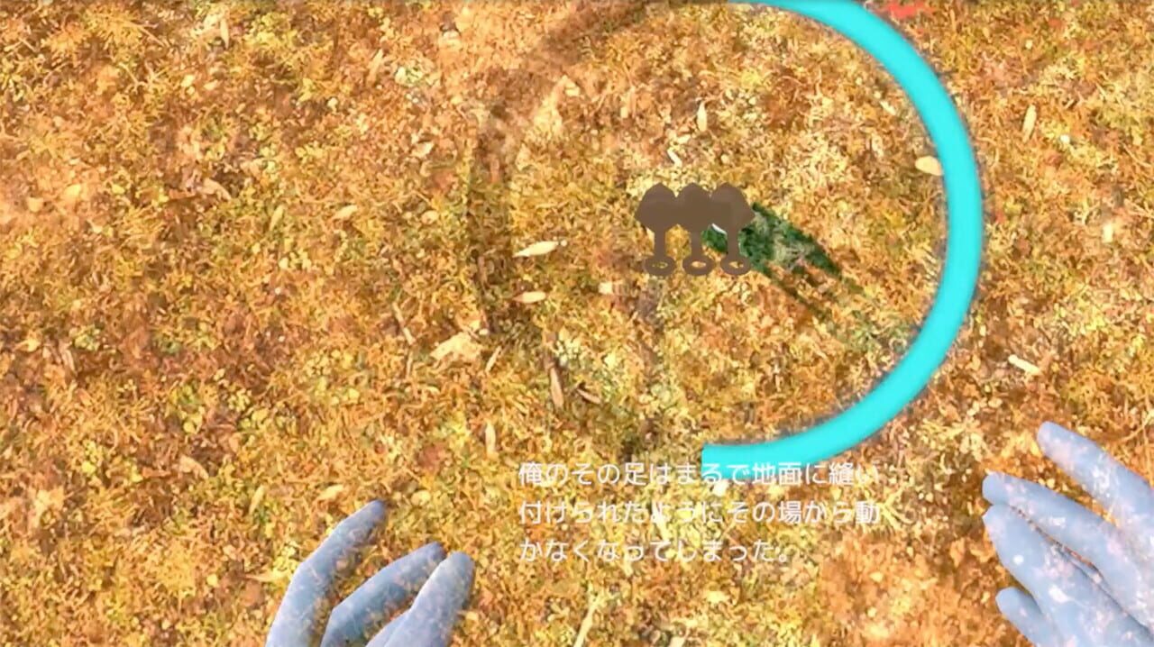 Forbidden Ninja Scroll: Kunoichi Training