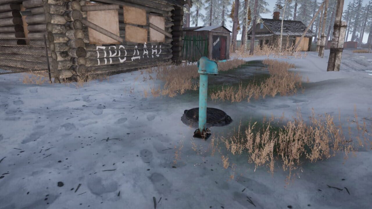 Siberian Village Simulator