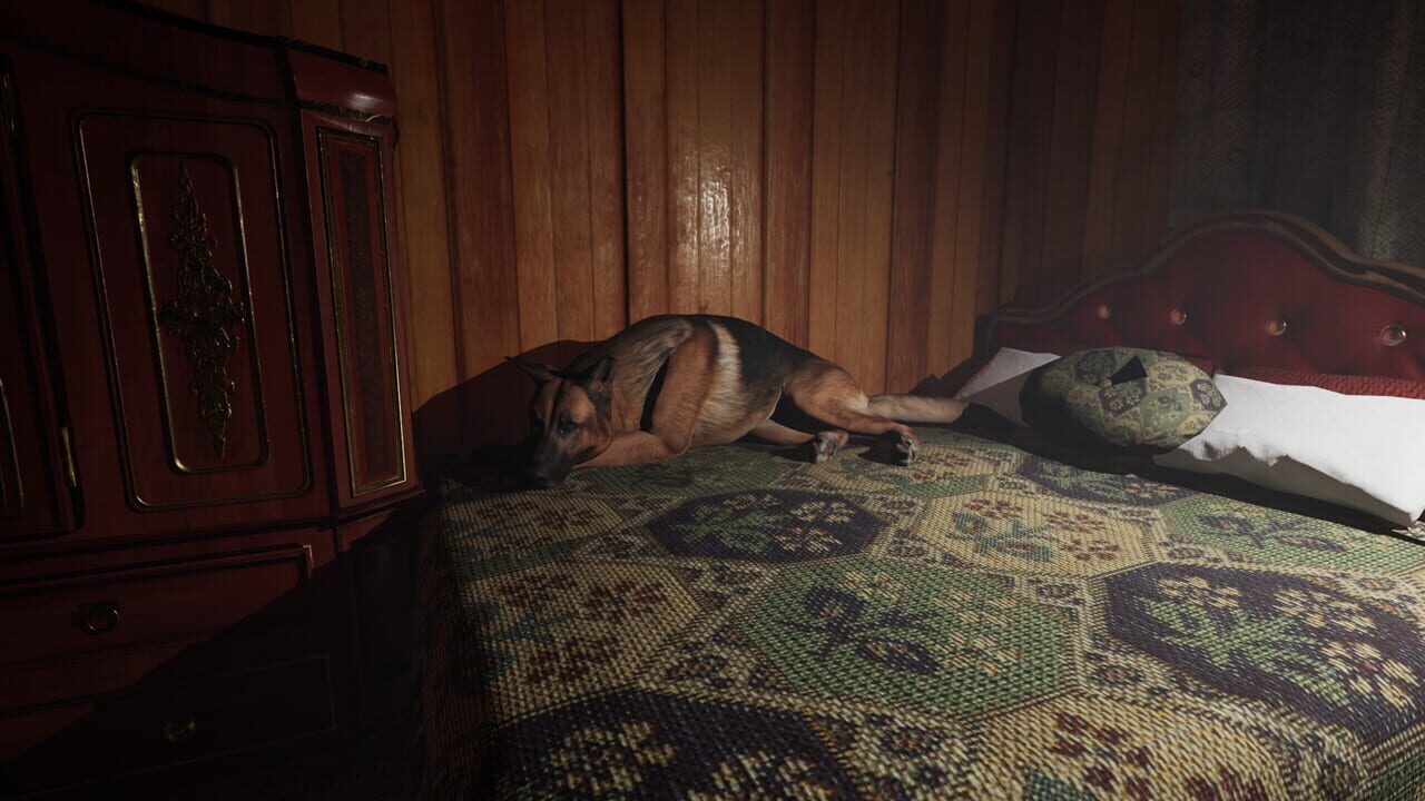 The Director’s Disorder: Pilot Episode