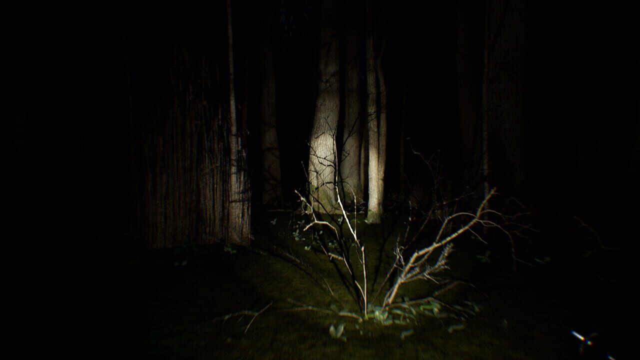Search 4 Bigfoot