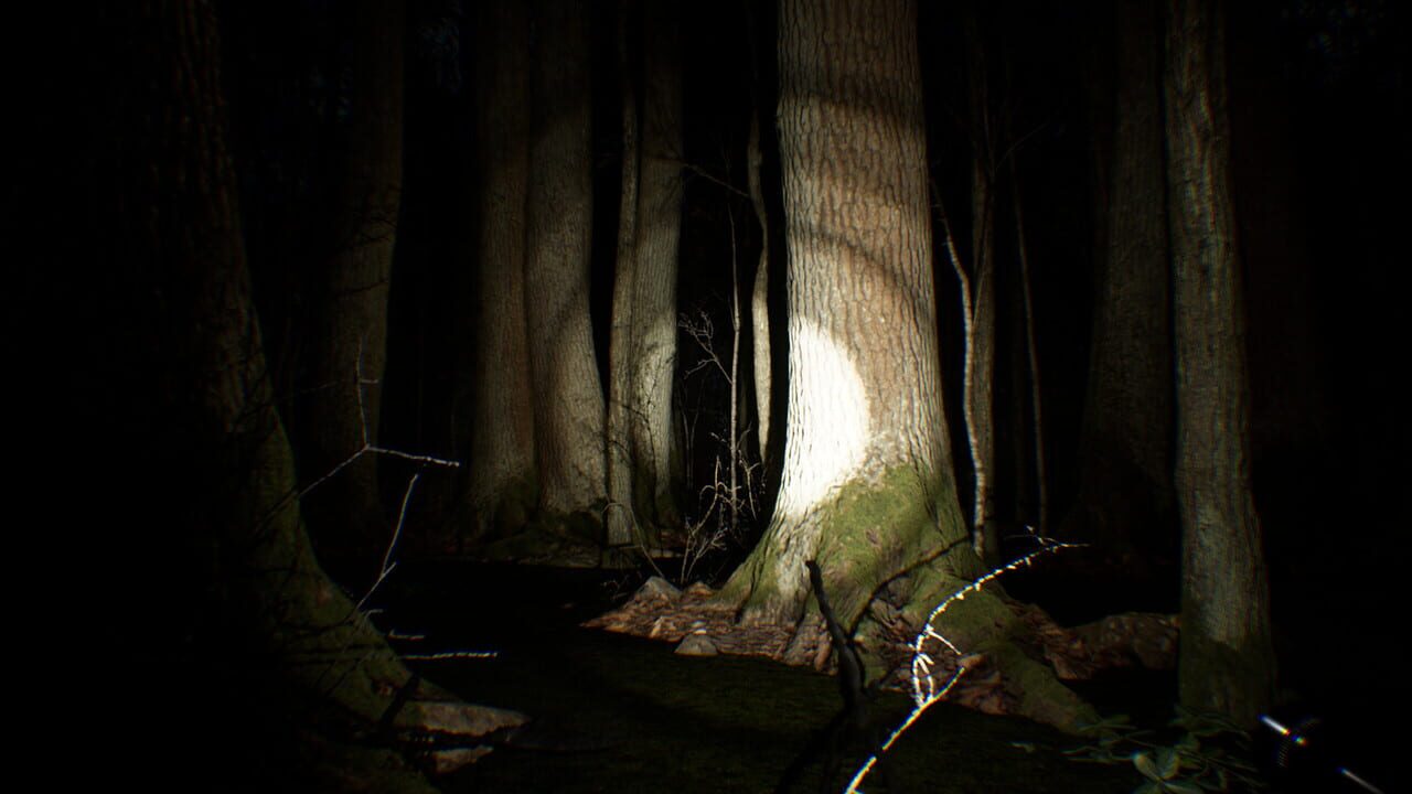 Search 4 Bigfoot