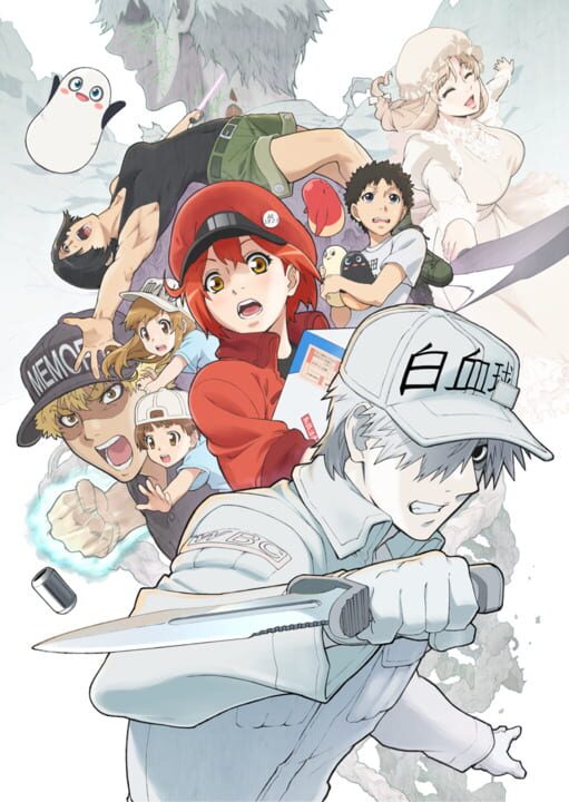 Cells at Work
