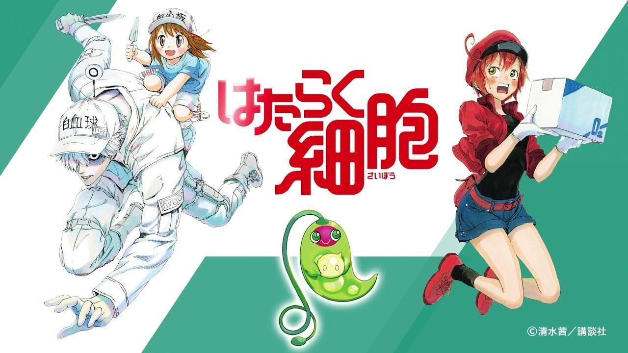 Cells at Work