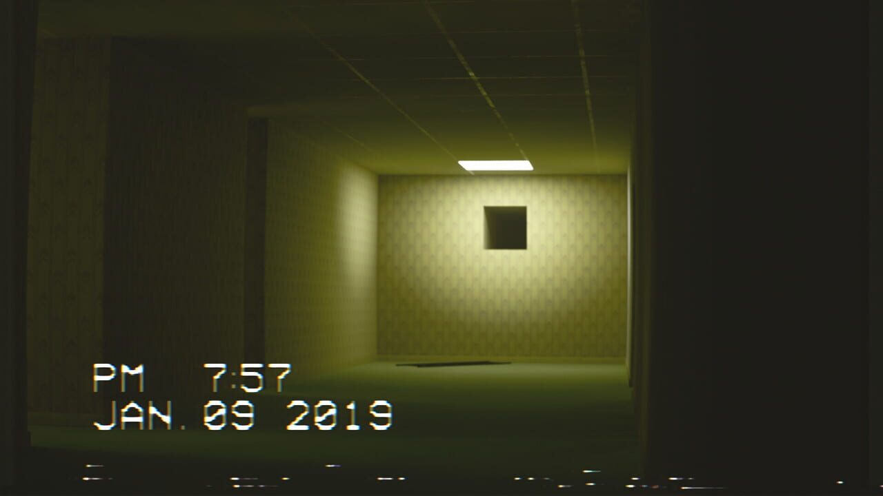 The Backrooms Footage