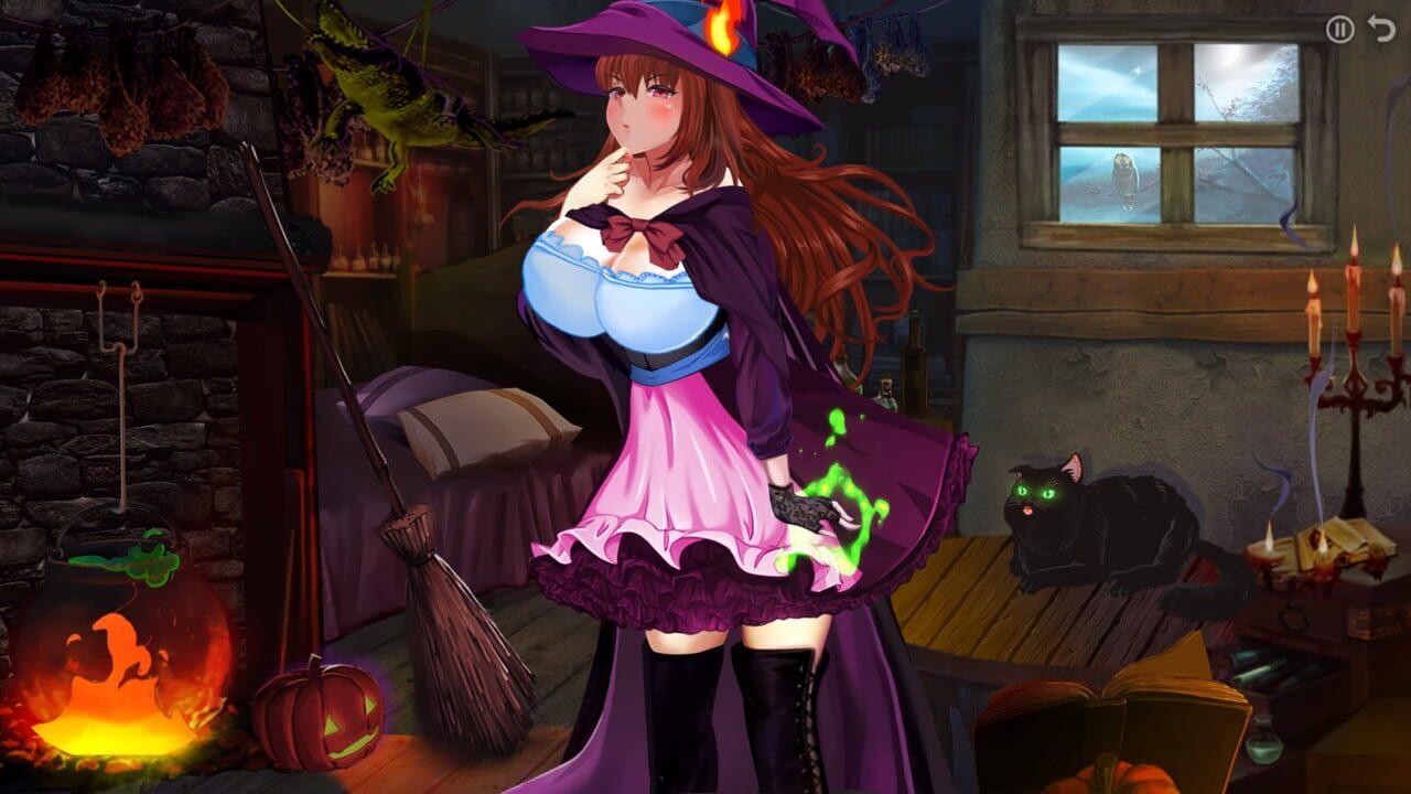 Witch Story