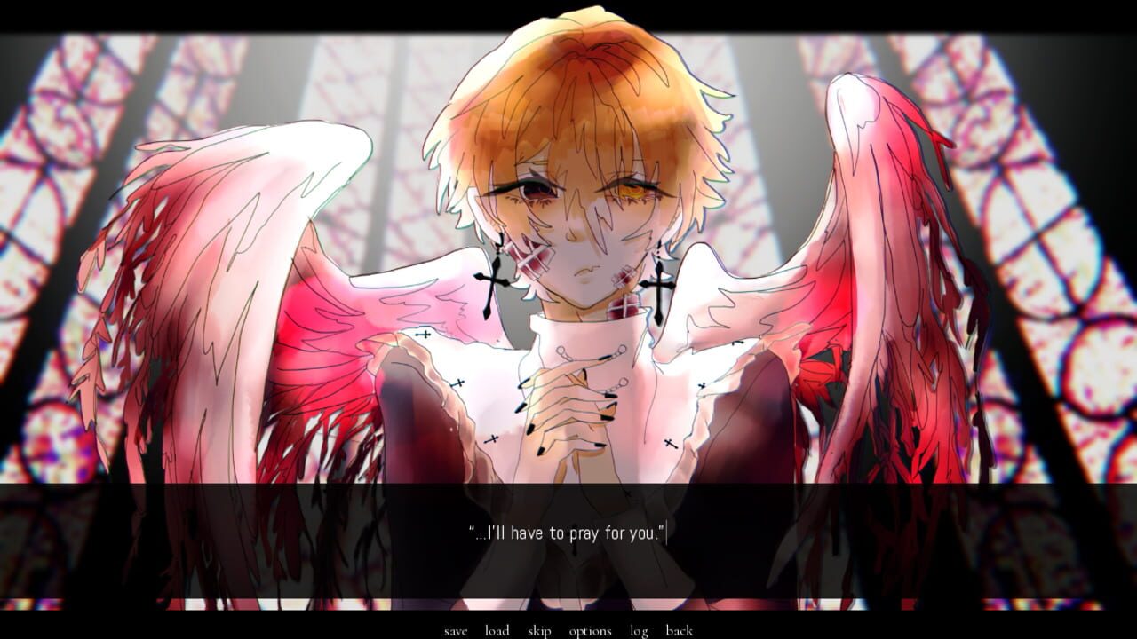 A Portrait of Feathers