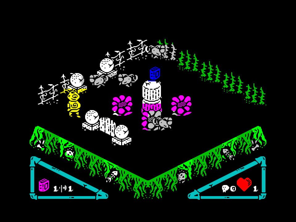 Zoinho in the Garden of Fools