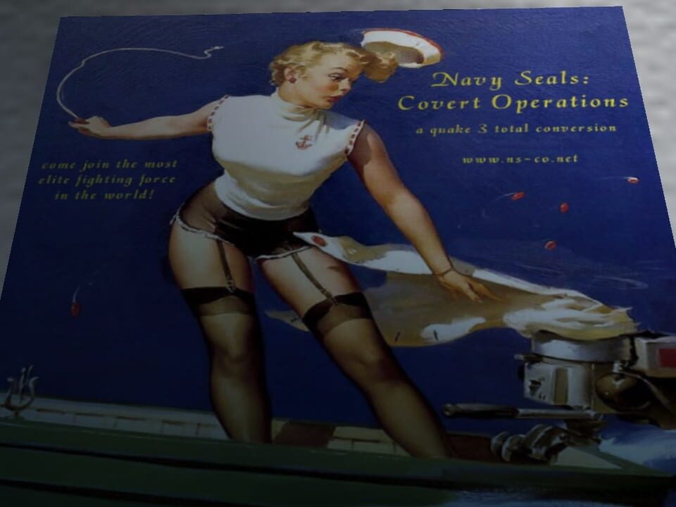 Navy SEALs: Covert Operations