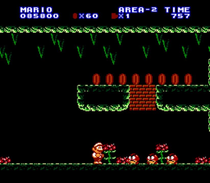 Extra Mario Bros.