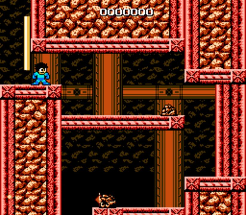 Mega Man: The New Lands