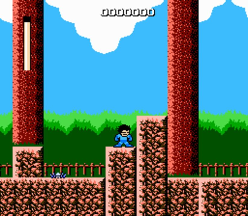 Mega Man: The New Lands