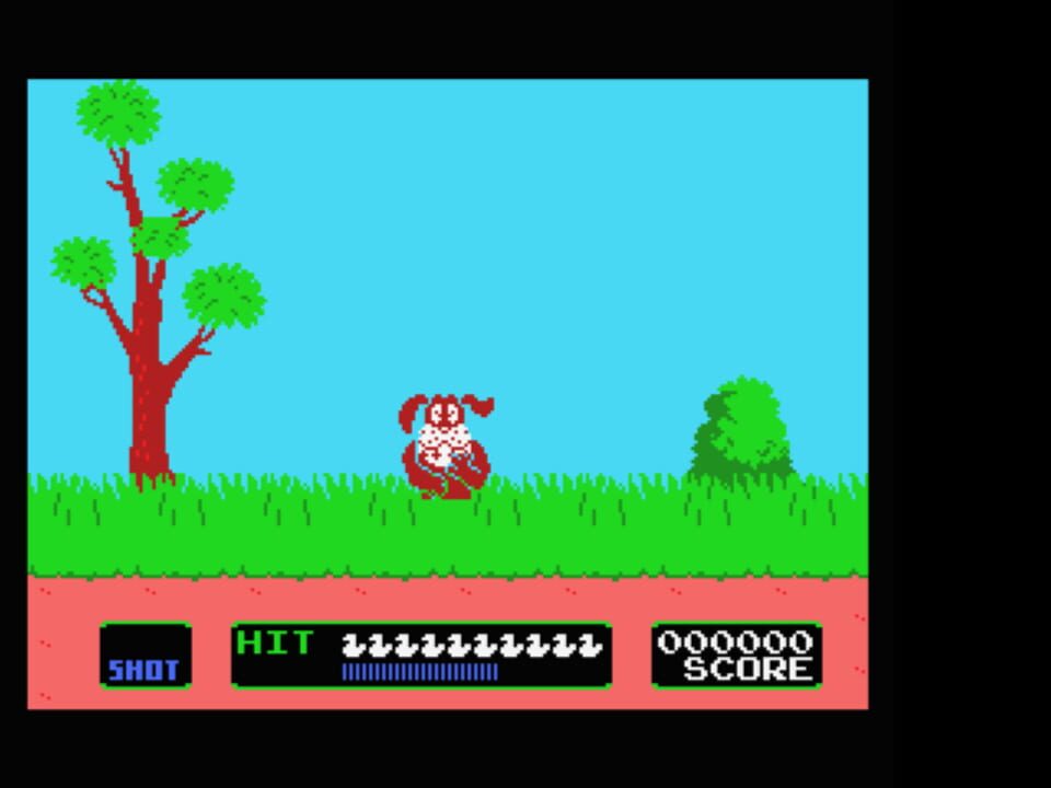 Duck Hunt