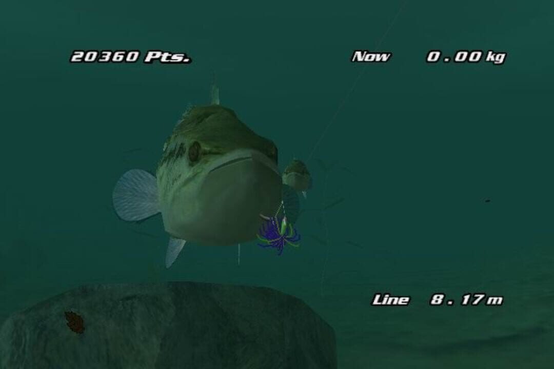 Pro Cast Sports Fishing