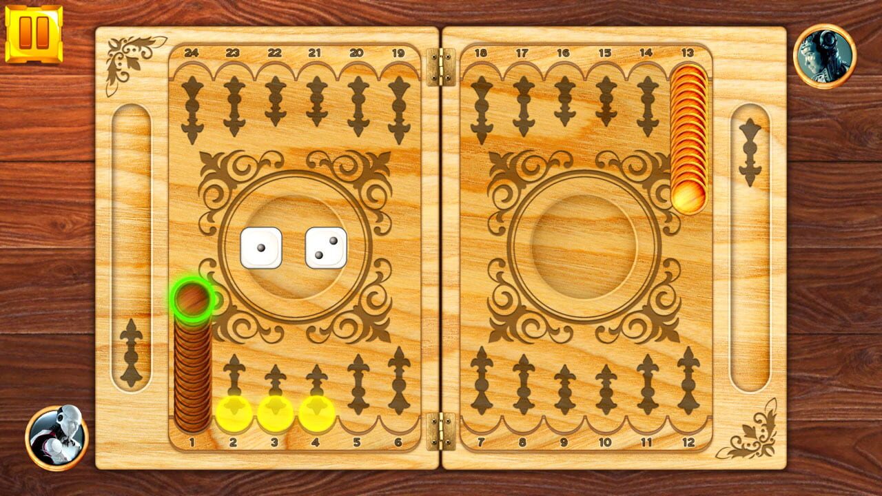 Backgammon: Board Game Puzzle