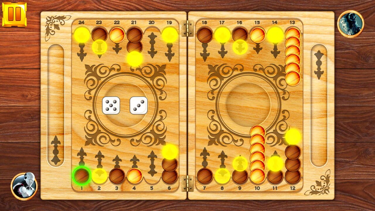 Backgammon: Board Game Puzzle