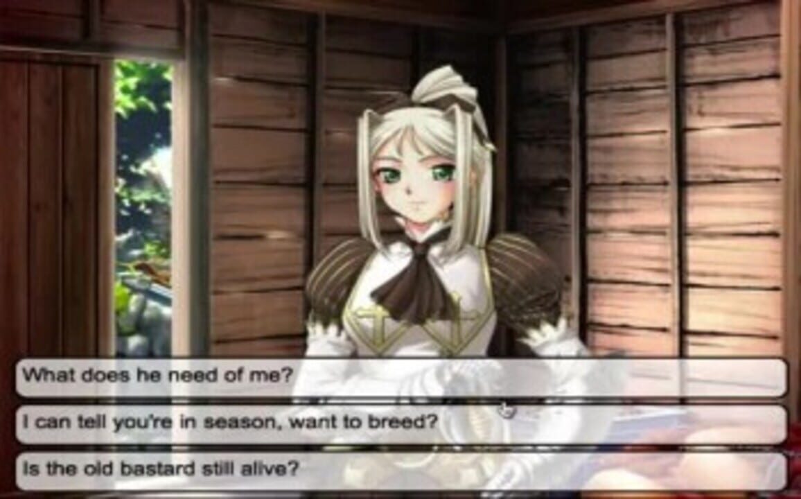 Meet’N’Fuck Kingdom