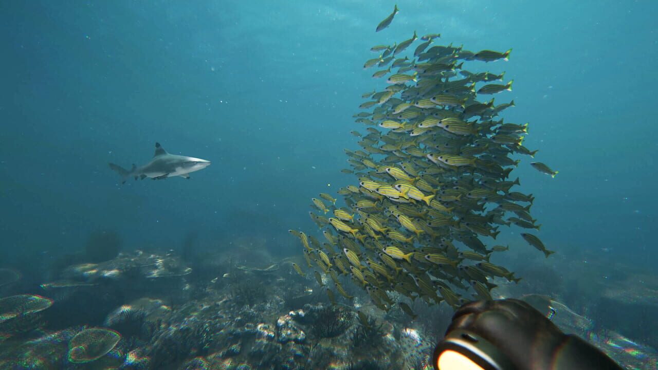 Death in the Water 2