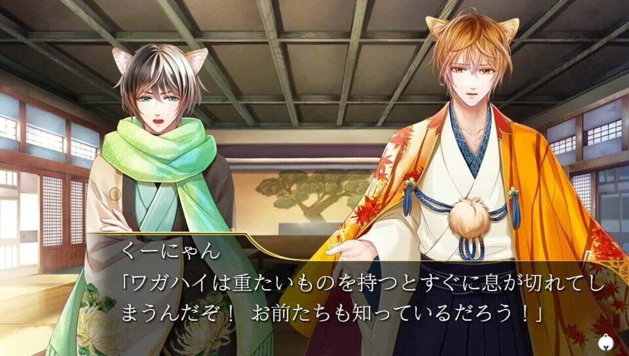 Puss in Combat Boots