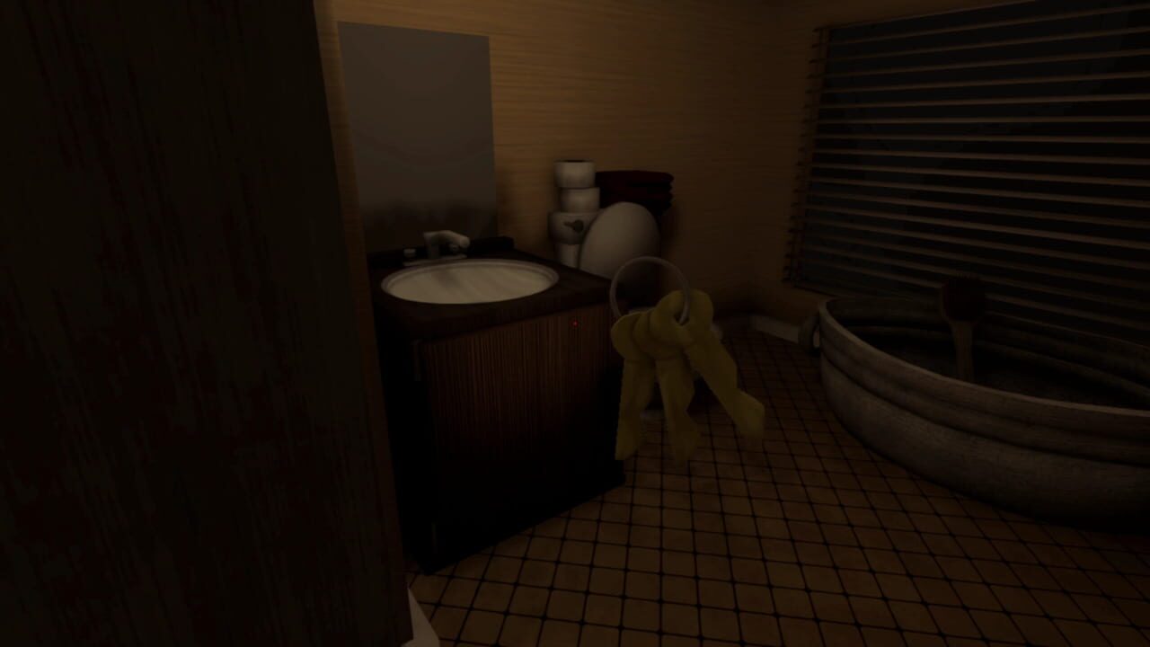 The Man From the Window