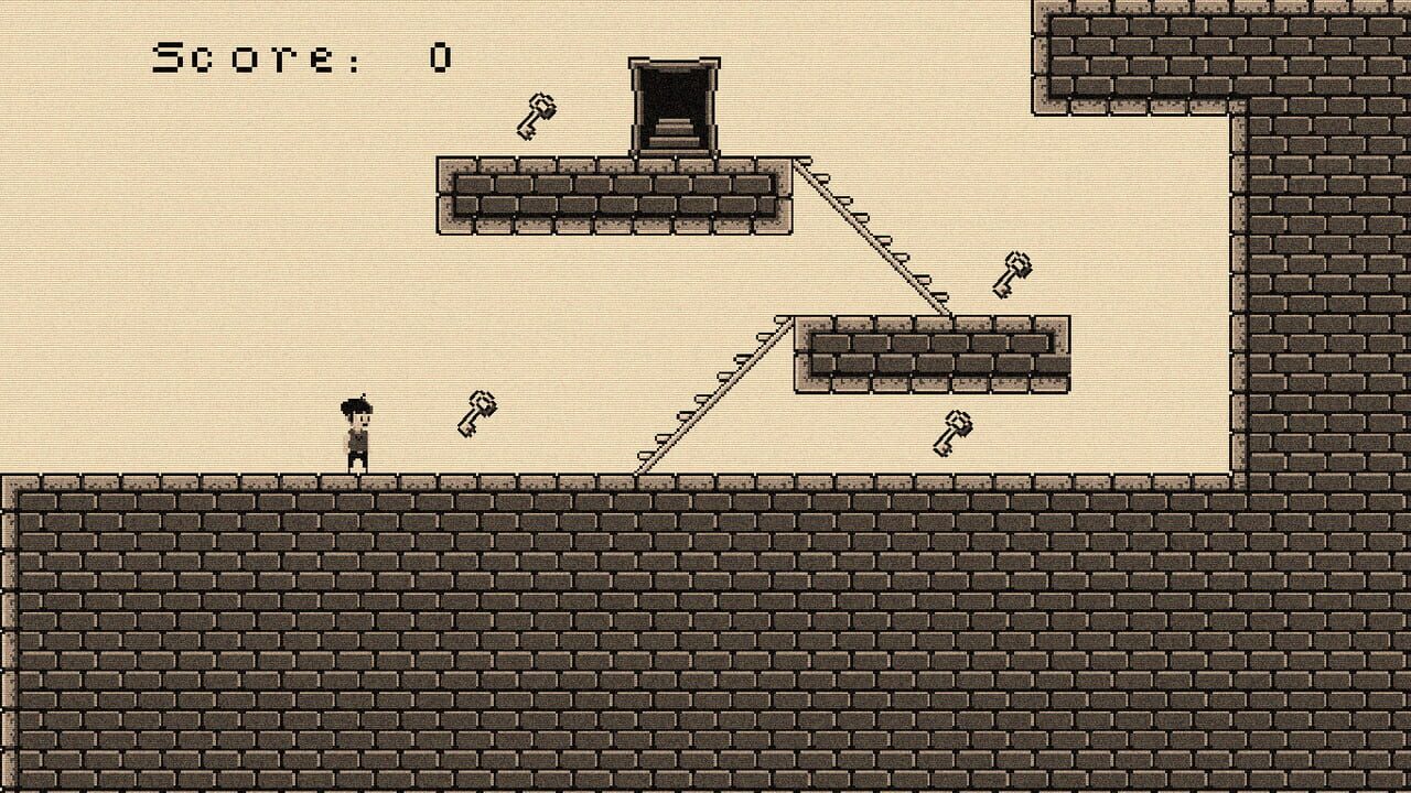 Wild Castle