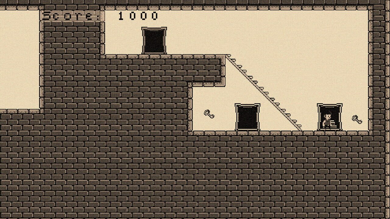 Wild Castle