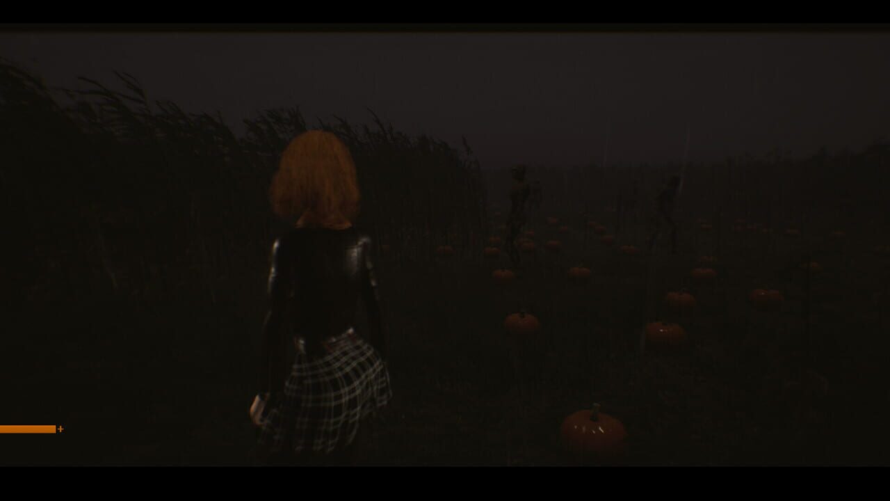 Patty’s Pumpkin Patch