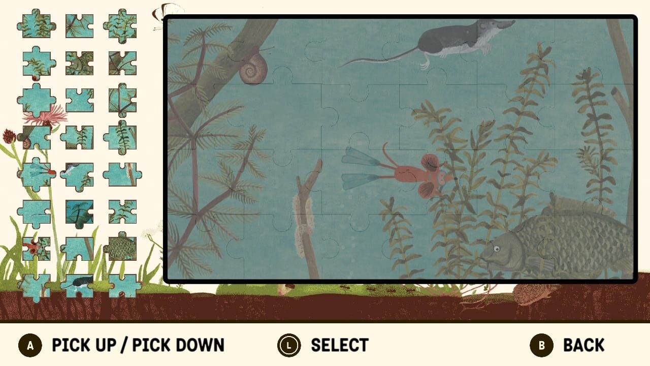 Little Mouse’s Encyclopedia: Pond Puzzle