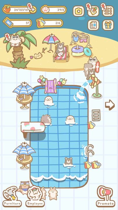 Cat Spa
