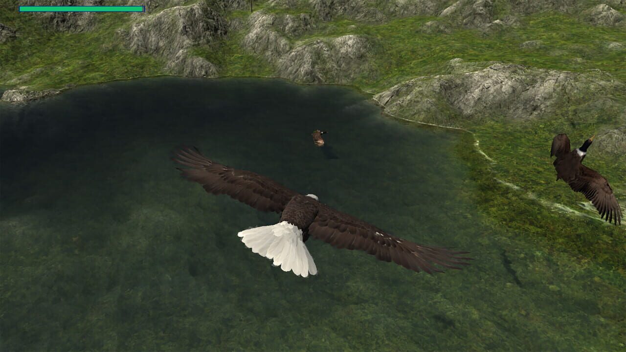 Eagle Hunting Journey