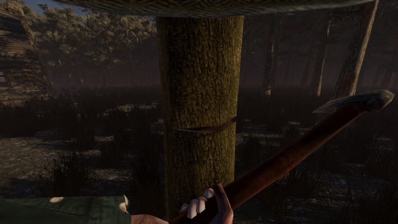 They are in the Trees