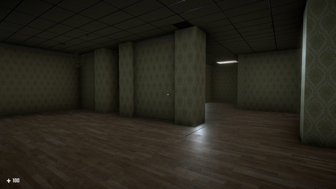 Survival in the Backrooms