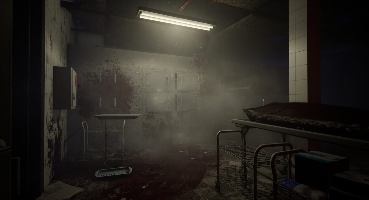 Robotization: A Last Human