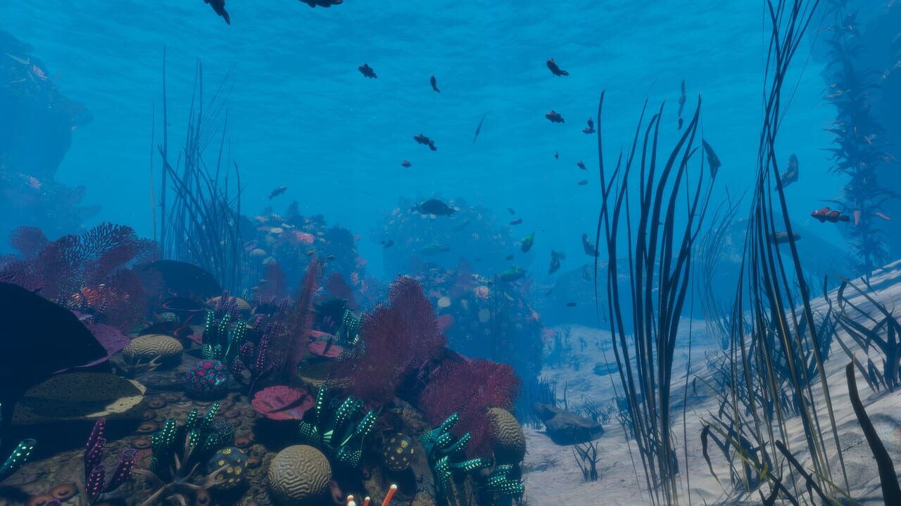 Sonorous: Deep Down Below