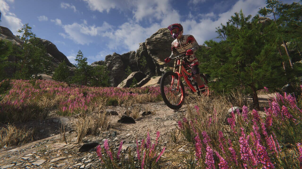 Traildown: Downhill Mountain Biking