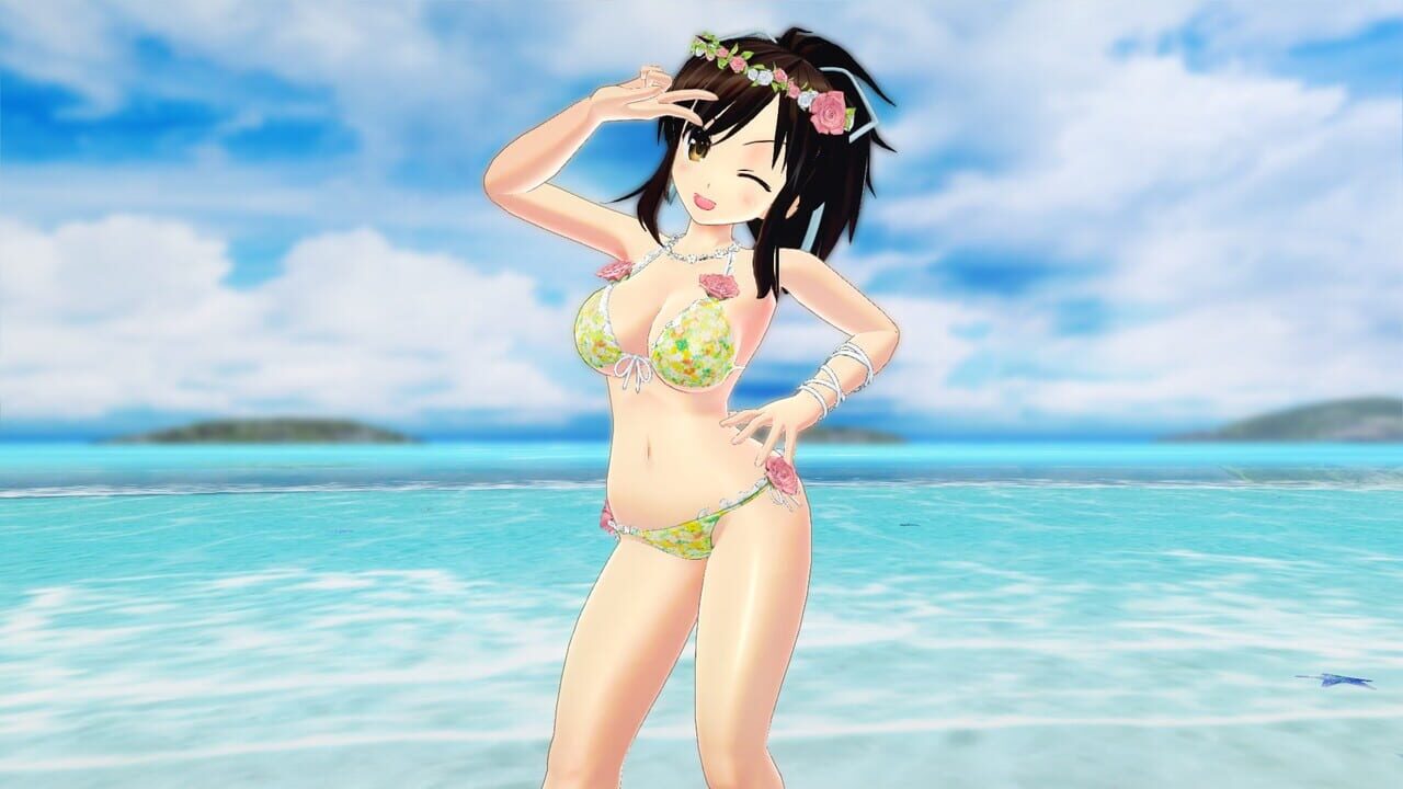 Senran Kagura: Peach Beach Splash – Sunshine Swimsuit Pack