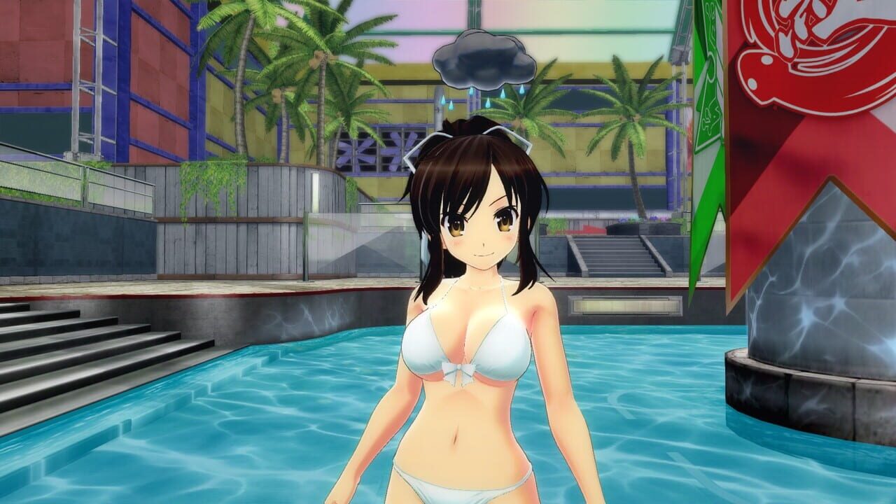 Senran Kagura: Peach Beach Splash – Mega Accessory Pack