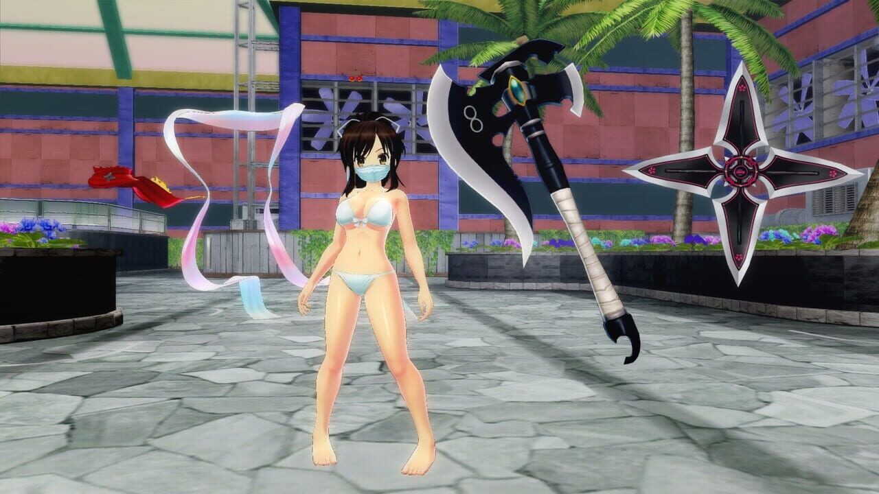 Senran Kagura: Peach Beach Splash – Mega Accessory Pack