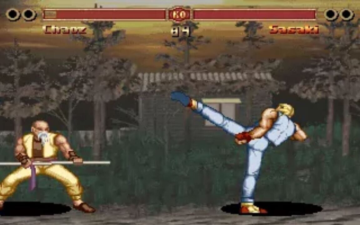 The Great Fighter