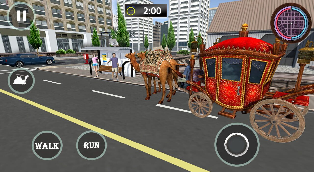 Passenger Camel Taxi Driving