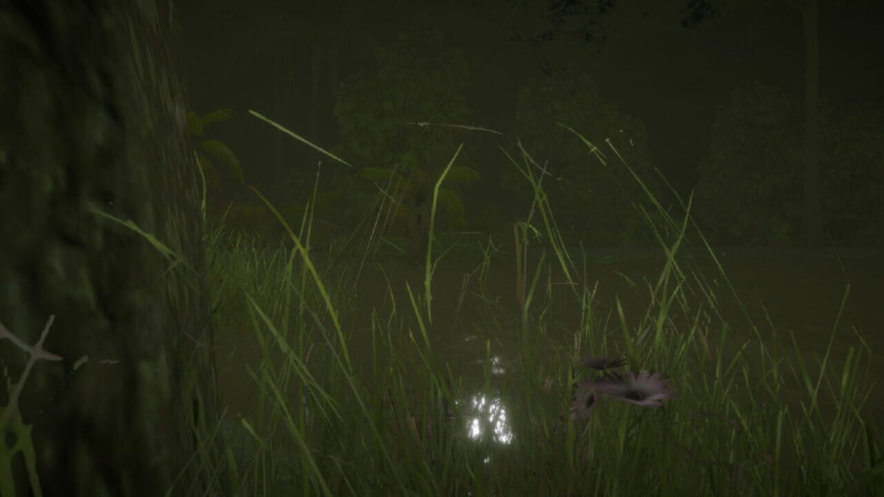 Maurice: In the Predator’s Nest